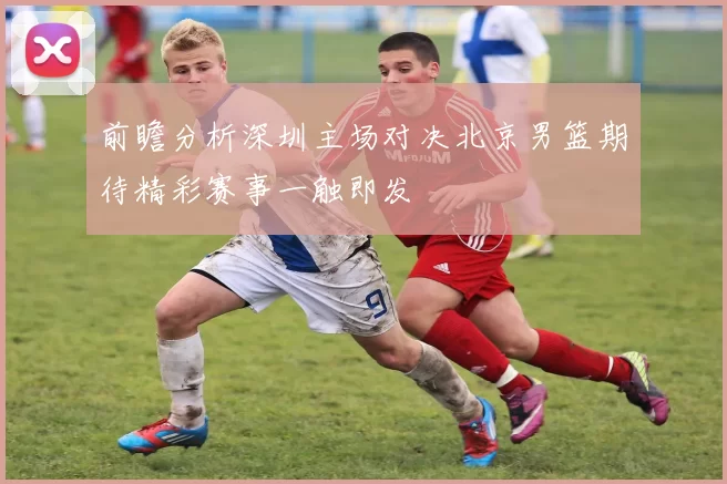 前瞻分析深圳主场对决北京男篮期待精彩赛事一触即发