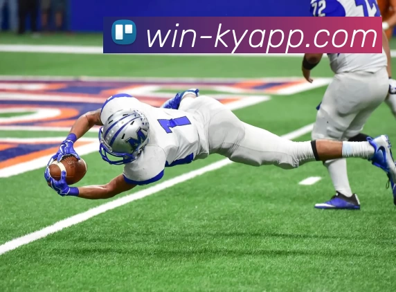 开云体育APP 高清赛事图